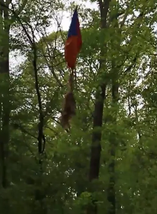 Busted Balloon