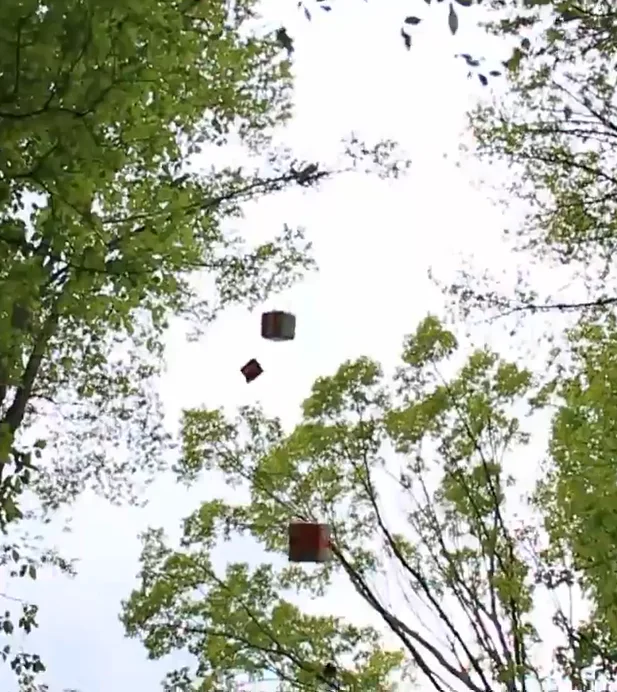Payload high up in the tree tops
