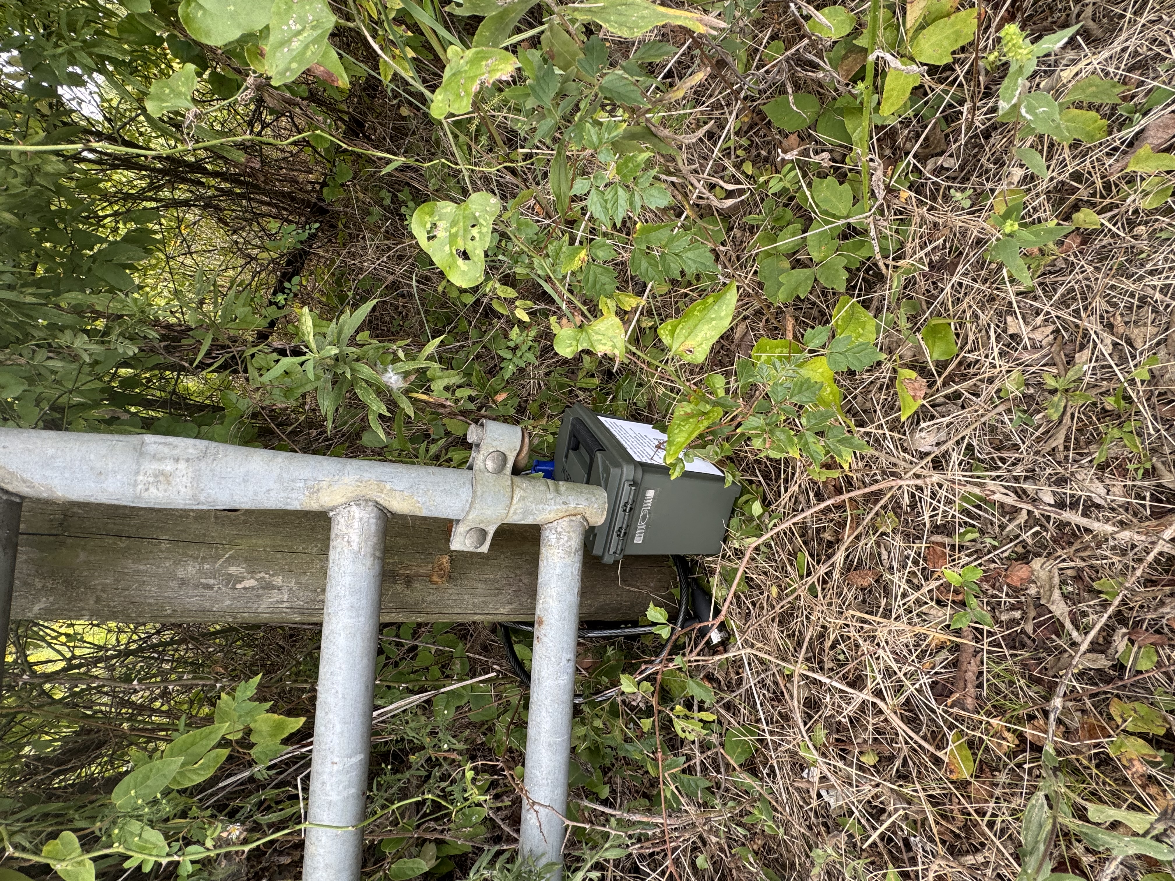 Transmitter placement photograph by McLeod Johnson (W5JMJ)
