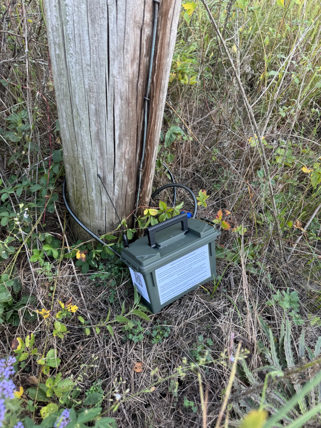 Transmitter placement photograph by McLeod Johnson (W5JMJ)